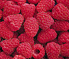 Raspberries
