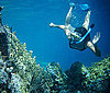 Snorkeling