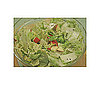 Cabbage, Caraway, and Apple Salad