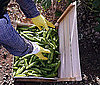 Join a CSA Group
