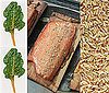 Dine on Omega-3s