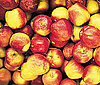 Apples