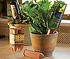 Make a Plant Waterer