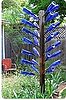 Build a Bottle Tree For Your Garden