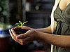 Invite Fellow Gardeners Over For a Seedling Exchange