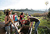 Alemany Farm, San Francisco, CA