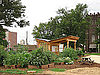 Jones Valley Urban Farm, Birmingham, AL