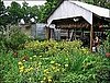 Boggy Creek Farm, Austin, TX