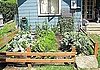 Seattle Urban Farm Co., Seattle, WA