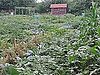 Mill Creek Farm, Philadelphia, PA