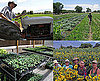 Rio Grande Farm, Albuquerque, NM