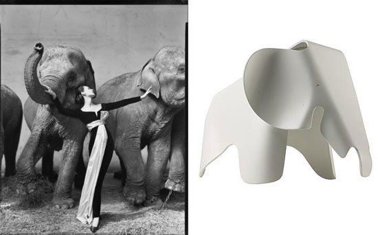 avedon elephants