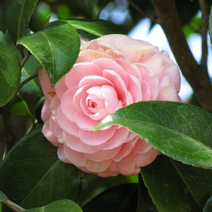 http://media.onsugar.com/files/ons1/192/1922794/32_2009/f2b22e29327781a2_2361700709_af6b03899c.jpg
