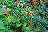Get Fall Gardening Projects Accomplished