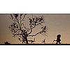 Tree Silhouette