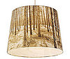 Enchanted Forest