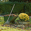 Dispose of Leaves the Green Way