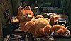 China: Garfield