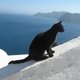 gatara's picture