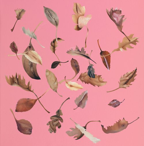 pink-leaves7 pink-leaves7