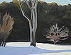 Tree in Back