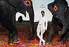 72630_hermes_ss08_122_1045lo-1