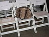 A Lonesome Python Bag at Behnaz Sarafpour 