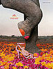 chaussure_sp