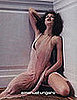 adv_4558