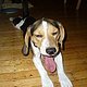 tinstar03's picture