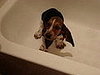 Baby Oki's bath day