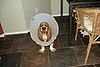 Oki after getting snipped
