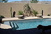 Here's pics of the pool I installed. Far cry from the dirt I used to have. That's Oki in the foreground.  