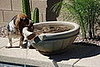 Don't drink the pool water OKI!