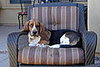Taking a nap outside.
