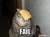 Cat Gets Cheesed: Fail