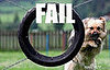 Pooch Misses Hoop: Fail