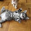 Caught!