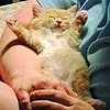 Behold—the Softest Thing Ever?