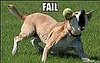 Doggers Misses Ball: Fail