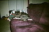 photo_2