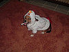 baylee2