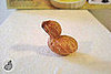 This Peanut Looks Like a Duck