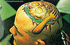 This Is Your Brain on Drugs