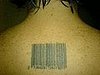 barcode_tattoo_27