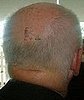 Mow, Mow, Mow Your Tatt . . .