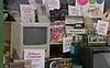 Antique Apple II 