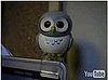 owl3