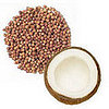 Coriander and Coconut Water