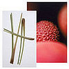 Lemongrass and Lychee